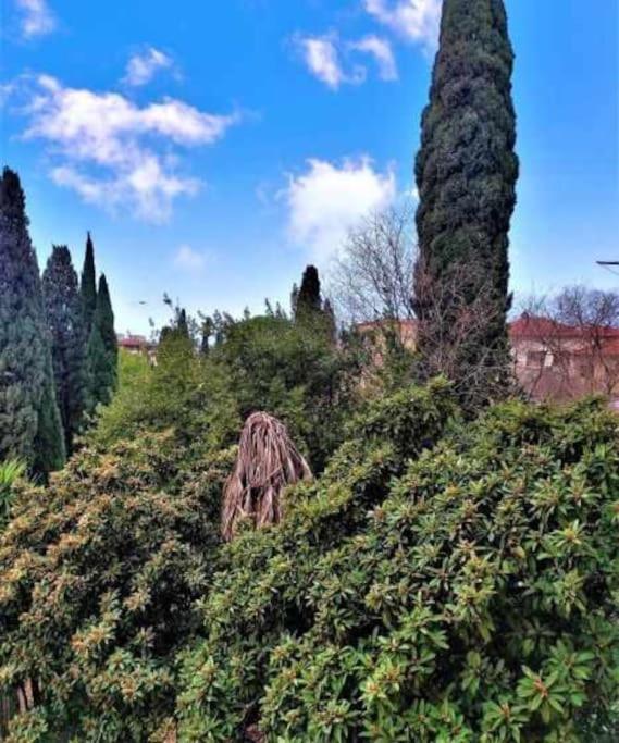 Appartamento Casa Raffaello Careggi Firenze Esterno foto